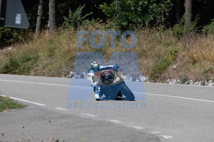 MICH1301
