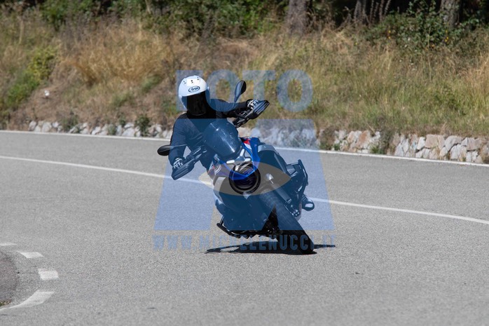 MICH1309