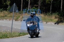 MICH1331