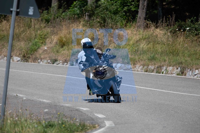 MICH1336