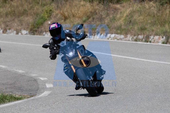 MICH1360