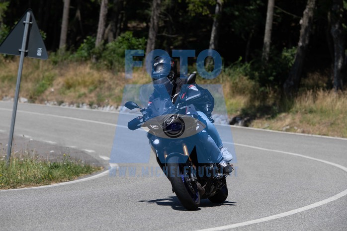 MICH1371