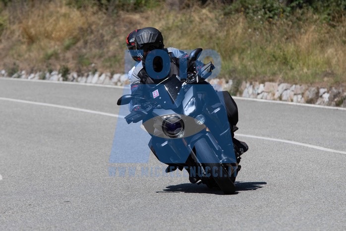 MICH1394