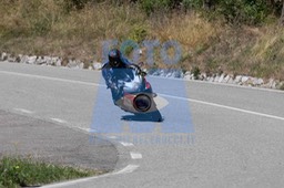 MICH1431