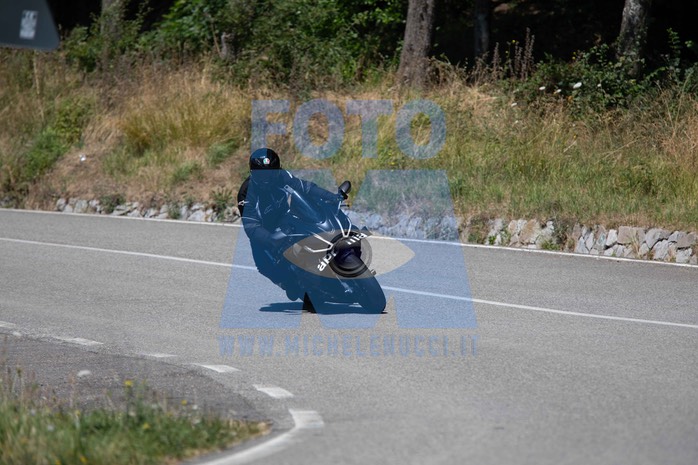 MICH1439