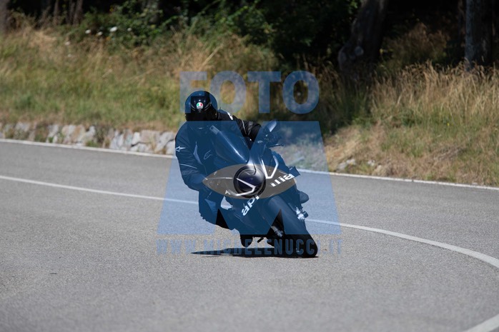 MICH1441