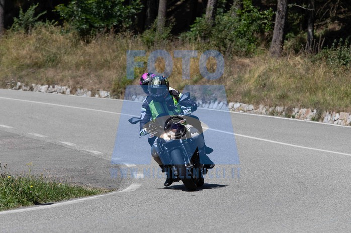 MICH1443