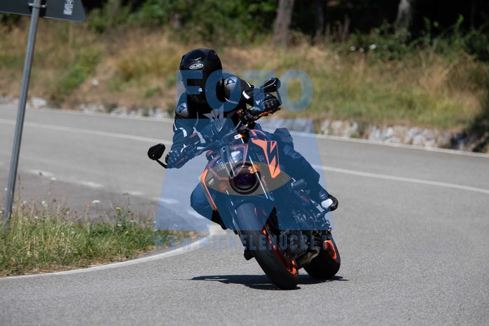 MICH1445