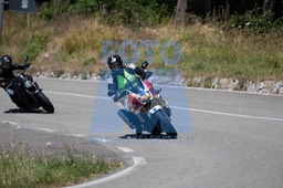 MICH1475