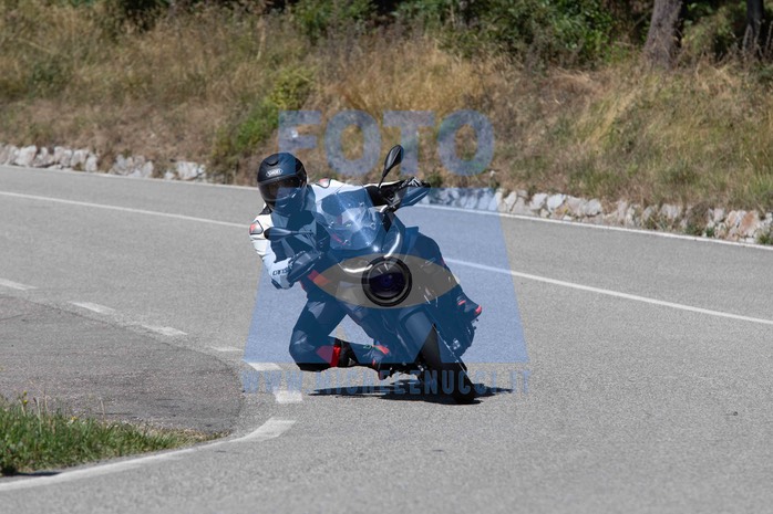 MICH1491