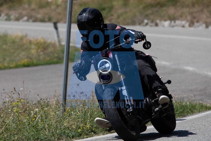 MICH1619