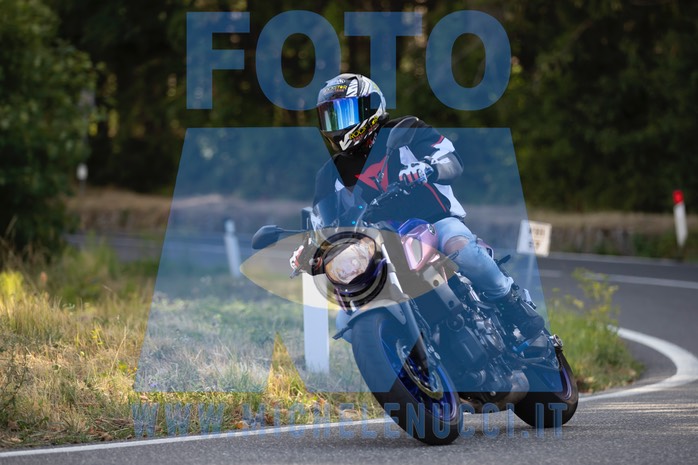 MICH2004