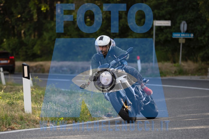 MICH2066