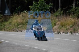 MICH2095