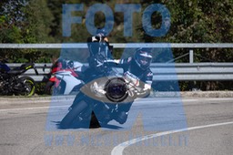 MICH2198