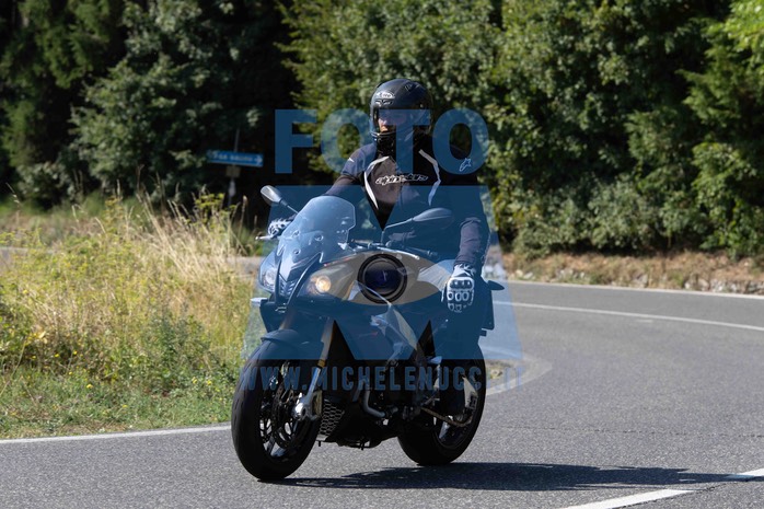 MICH2274