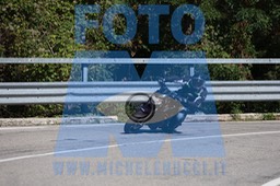 MICH2365