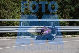 MICH2376