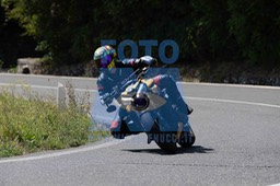 MICH3295