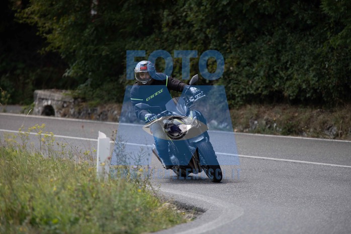 MICH3563