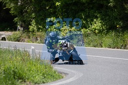 MICH3597