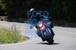 MICH3604