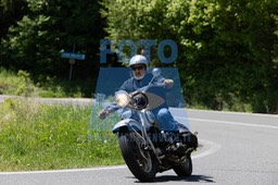 MICH3897