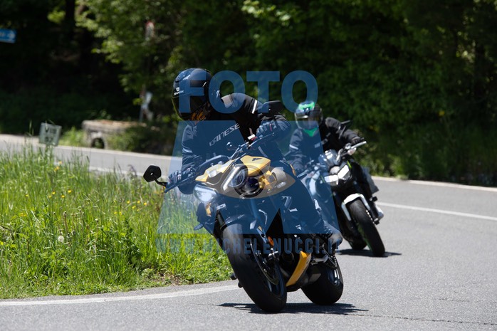 MICH3996