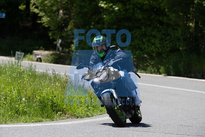 MICH3997
