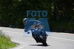 MICH4194
