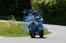 MICH4209
