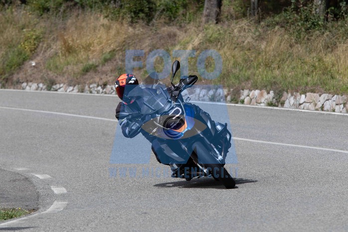 MICH4499