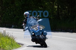 MICH4499