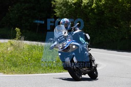 MICH4501