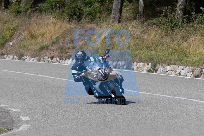 MICH4503