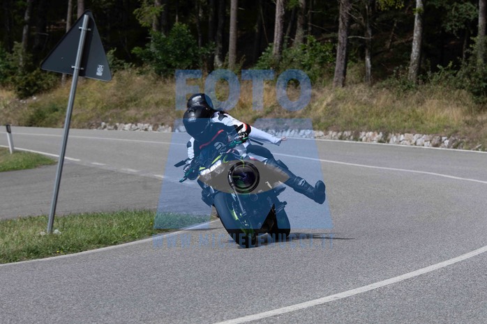 MICH4595