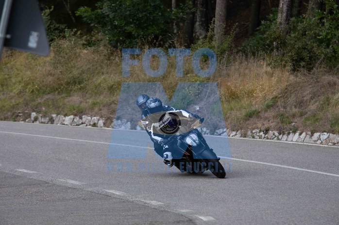 MICH4698