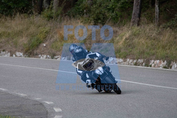 MICH4699