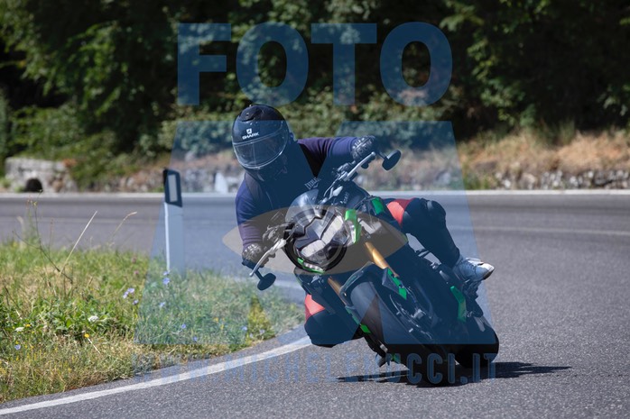 MICH4889