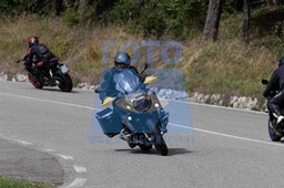 MICH4950