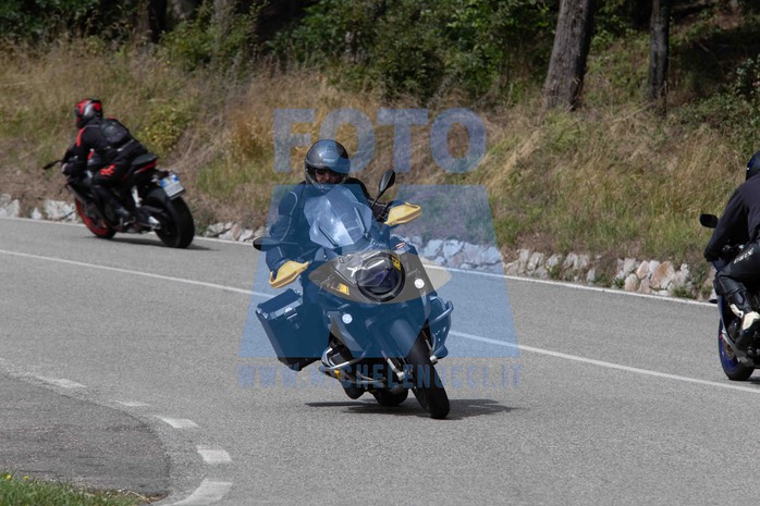 MICH4950