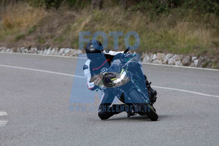 MICH4994