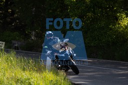 MICH5009