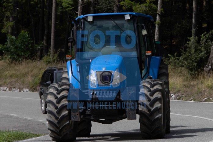 MICH5231
