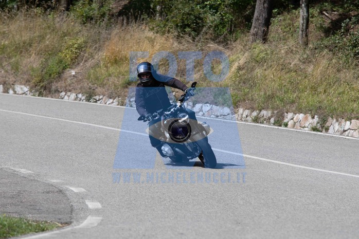 MICH5335
