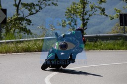MICH5571