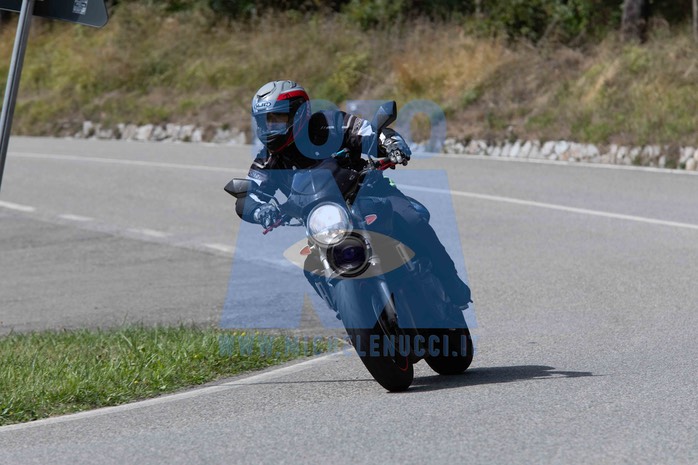 MICH5666