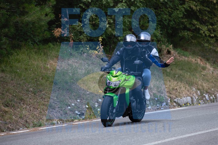 MICH6500