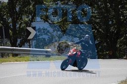 MICH6600