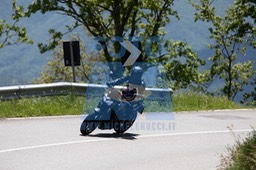 MICH6924